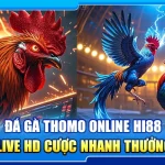 36.da ga thomo online hi88 – xem live hd cuoc nhanh thuong lon 4