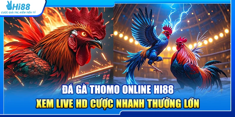 36.da ga thomo online hi88 – xem live hd cuoc nhanh thuong lon 1