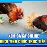 37.xem da ga online – tan dau kich tinh cuoc truc tiep de thang 3
