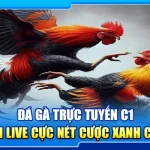 38.da ga truc tuyen c1 – xem live cuc net cuoc xanh chin 4