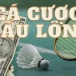 cach choi ca cuoc cau long 2 20251115 135340 4